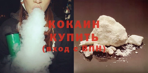 сатива Гусь-Хрустальный