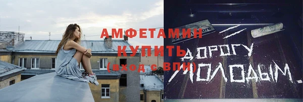 индика Няндома