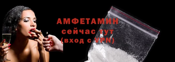 крисы Краснослободск