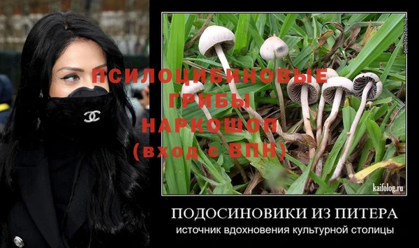 сатива Гусь-Хрустальный