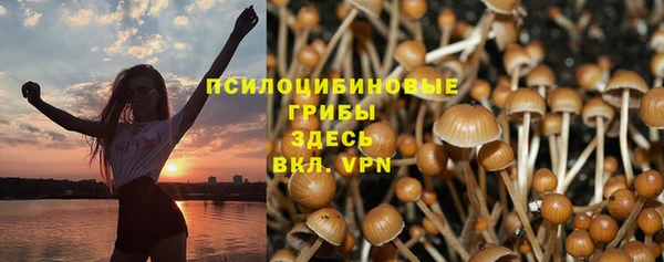 сатива Гусь-Хрустальный