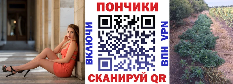 купить закладку  Железноводск  Марихуана план 
